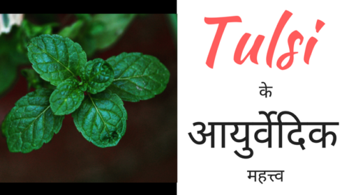 tulsi